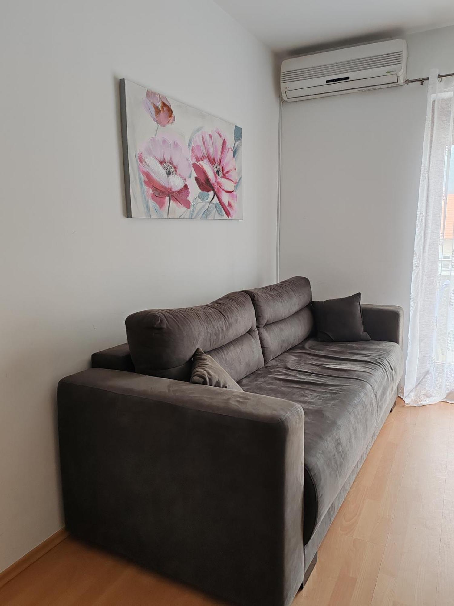 Apartmani Nana Sokobanja Ruang foto